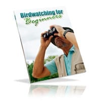 Bird Watching For Beginners