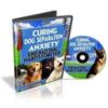 Curing Dog Separation Blog