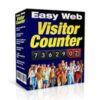 Easy Web Visitor Counter