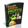 Google Adsense Profits II