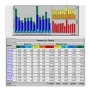 How To Check Your Visitor and Usage Stats In Cpanel