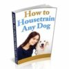 How To Housetrain Any Dog