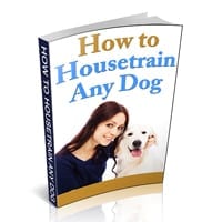 How To Housetrain Any Dog