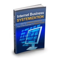 Internet Business Systemization