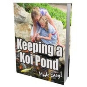 Keeping a Koi Pond