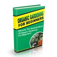 Organic Gardening for Beginners