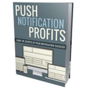 Push Notification Profits