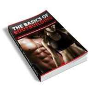 The Basics Of Bodybuilding