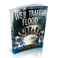 Web Traffic Flood