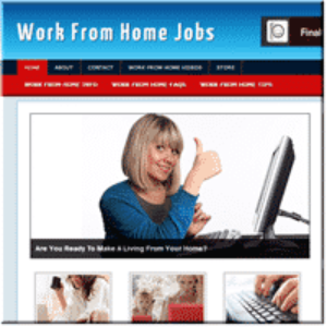 Work From Home Jobs PLR