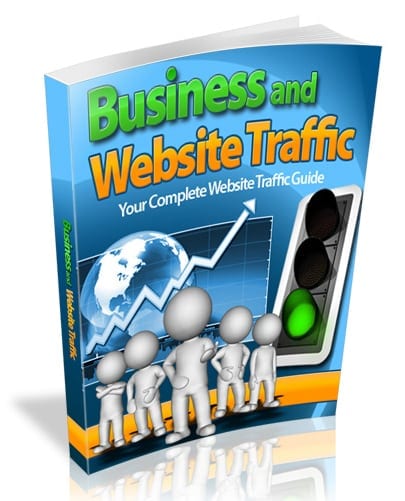 Business and Website Traffic