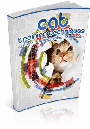 Cat Training Techniques