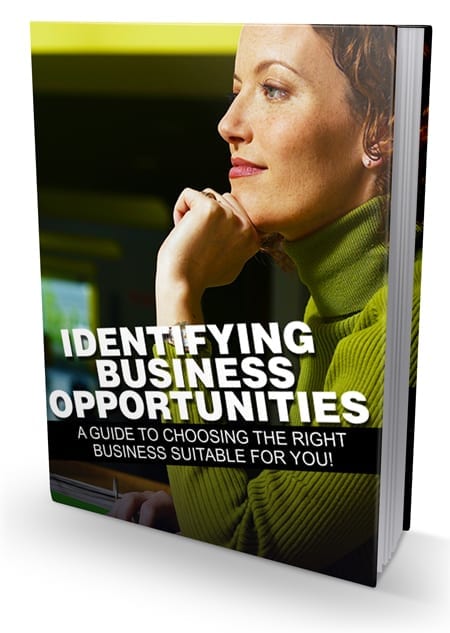 Identifying Business Opportunities