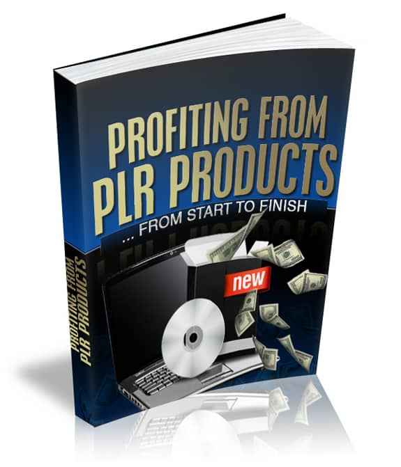 Profiting From PLR Products