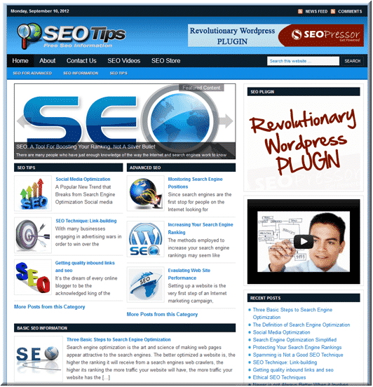 SEO Niche PLR Blog