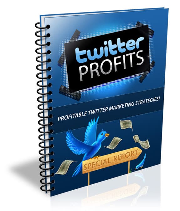 Twitter Profits