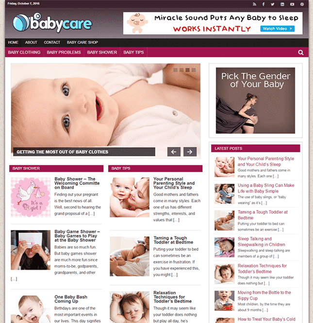 baby care plr blog