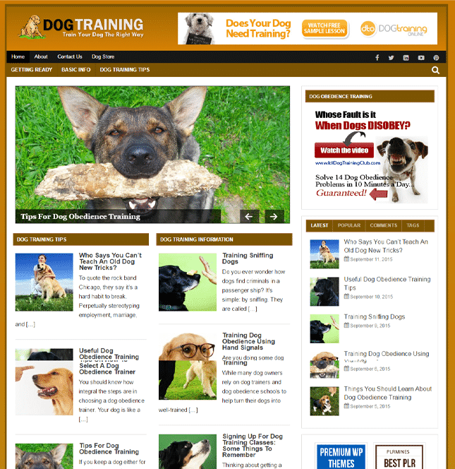 dog training plr blog