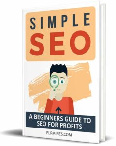 simple seo ebook