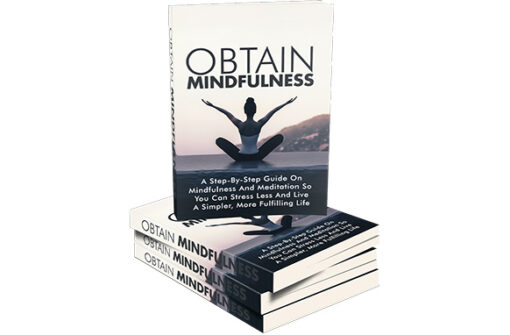 Obtain Mindfulness