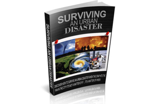 Surviving An Urban Disaster