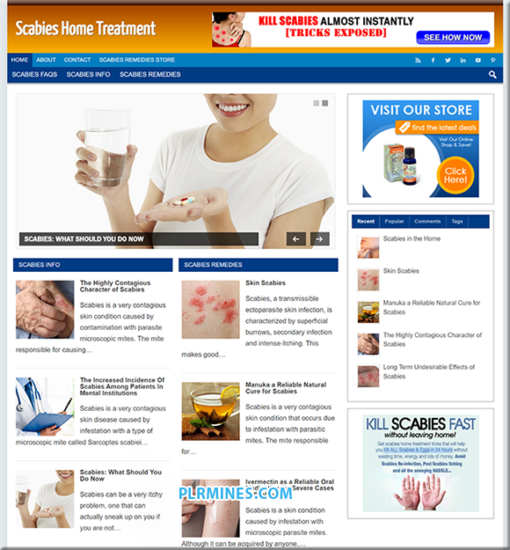 Scabies Treatment WordPress Web Site