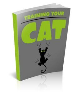 Training Your Cat